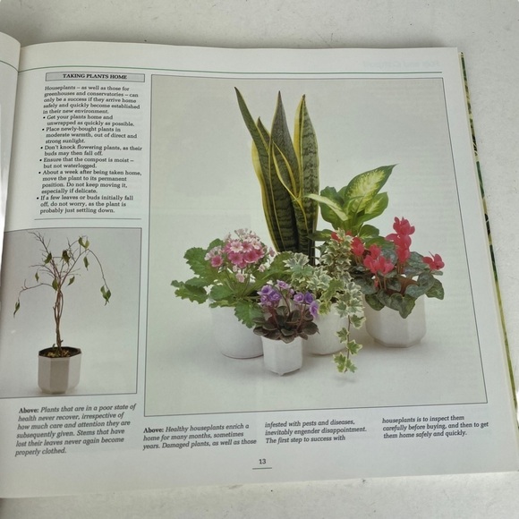 Houseplant Care Book Step by Step Guide 124 Pages Whitecap 1994 - Picture 8 of 11